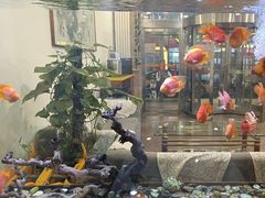 -如家酒店(北京师范大学积水潭店)