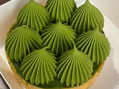 抹茶挞-猫里有甜