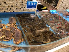 -双井轩(双井店)