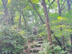 -大连植物园
