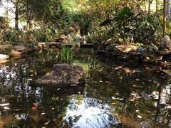 -成都市活水公园
