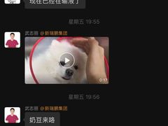 -美联众合动物医院·24h转诊中心