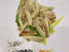 蟹柳芦笋-新光酒家·河豚·海鲜·蟹料理(浦东店)