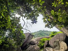 -火炉山森林公园