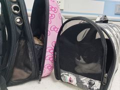 -纳吉亚猫专科动物诊疗中心(蒋宅口分院)