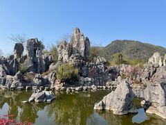 -千岛湖石林