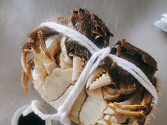 -品鲜村农家菜·阳澄湖大闸蟹(总店)