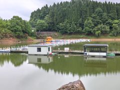 -龙川湾千岛湖国际垂钓中心