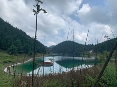 -武陵山森林公园