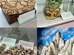 -中国第四纪冰川遗迹陈列馆