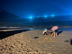 -西涌国际滨海旅游区