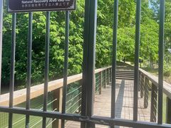 -苏州太湖国家湿地公园