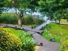 -五缘湾湿地公园