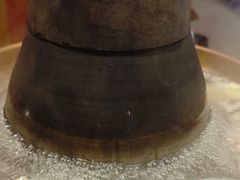 -宝泉铜锅·涮羊肉(解放东路店)