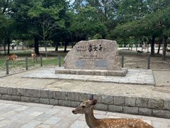 -奈良公园