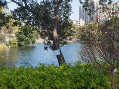 -荔湾湖公园