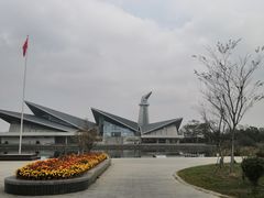 -盐城丹顶鹤湿地生态旅游区
