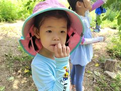 -大觉寺-停车场