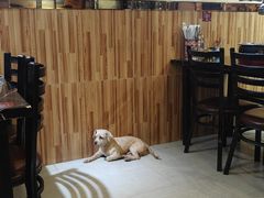 -燚青春东北泥炉烤肉(百合店)