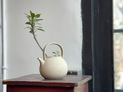 -知亘茶食
