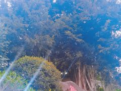 -乌山风景区