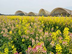 -中国天府农业博览园