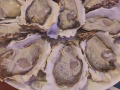 -千岛蚝高压锅生蚝·人参火锅(白云万达店)