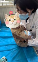 -北京嘉禾医疗