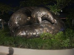 -夜间野生动物园