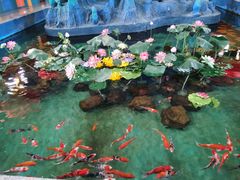 -北戴河圣蓝海洋公园