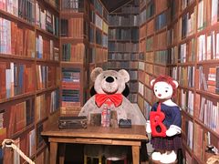 -济州岛泰迪熊博物馆