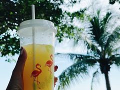 -逸廊大堂吧(三亚海棠湾万丽度假酒店)