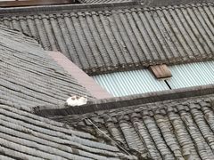 -星巴克臻选(成都宽窄巷子店)