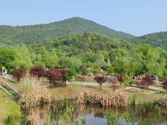 -石塘人家
