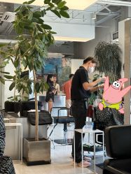 -Hair  Gallery