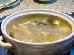 -先机泉水鸡汤(南山老君洞店)