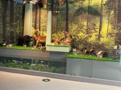 -房山世界地质公园博物馆