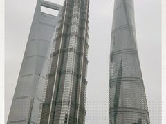 -威尔仕健身(金茂店)