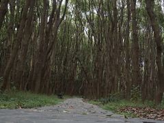 -同里国家湿地公园