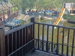 -北京鹿世界主题园