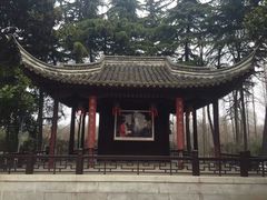-梅园