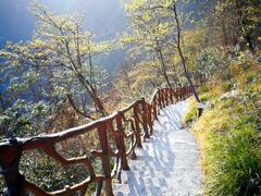 -鹿院坪生态旅游景区