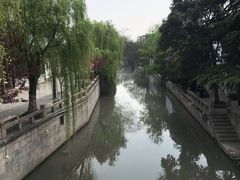 -嘉定紫藤园