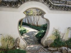 -秋霞圃