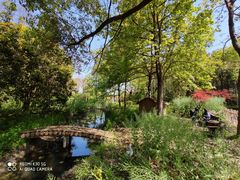 -昆山城市生态森林公园