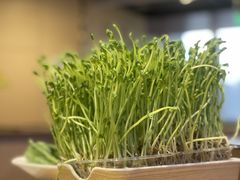 -海底捞火锅(杭州萧山宝龙广场店)