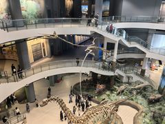 -辽宁古生物博物馆