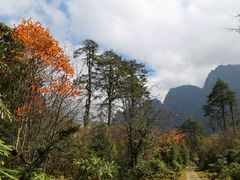 -燕子沟风景区