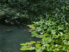 -杭州半山国家森林公园