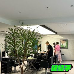-付军剪艺JF ProSalon